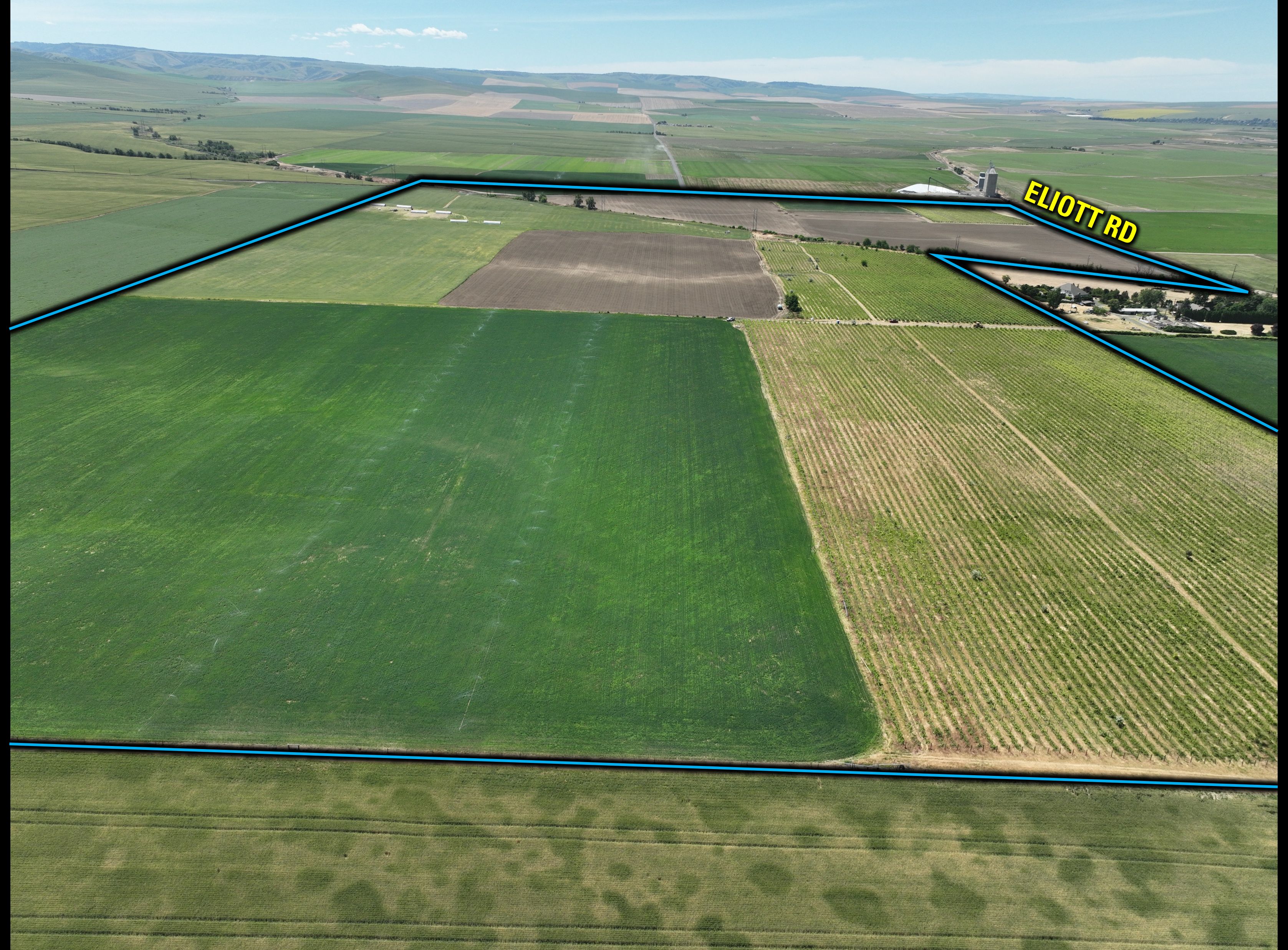 Listing Photo: Umatilla-County-OR-208.00-Acres(1)